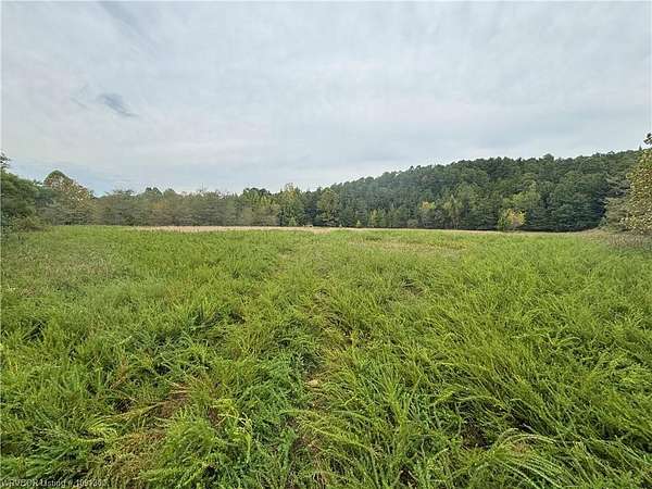 29.3 Acres of Recreational Land for Sale in Magazine, Arkansas