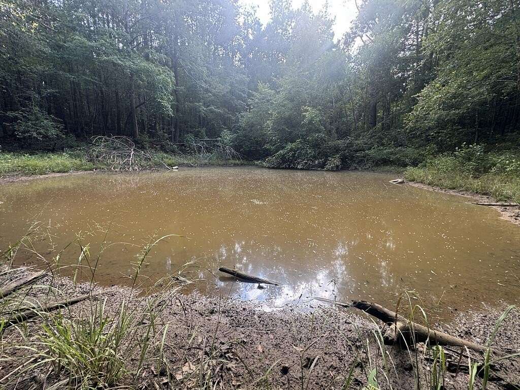 48 Acres of Land for Sale in Burnsville, Mississippi