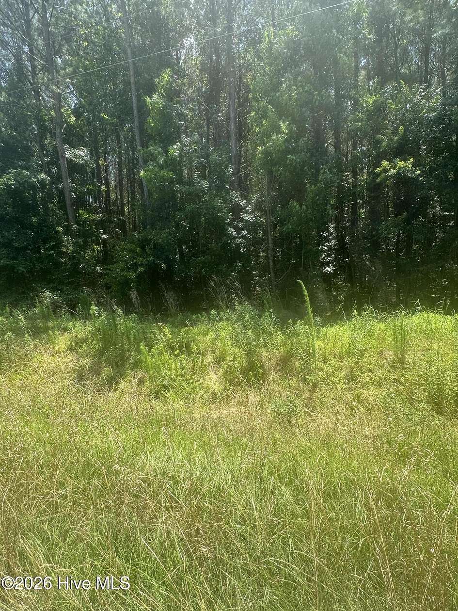 10 Acres of Recreational & Residential Land for Sale in Chadbourn, North Carolina