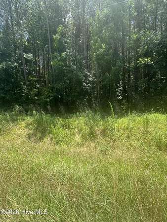 10 Acres of Recreational & Residential Land for Sale in Chadbourn, North Carolina