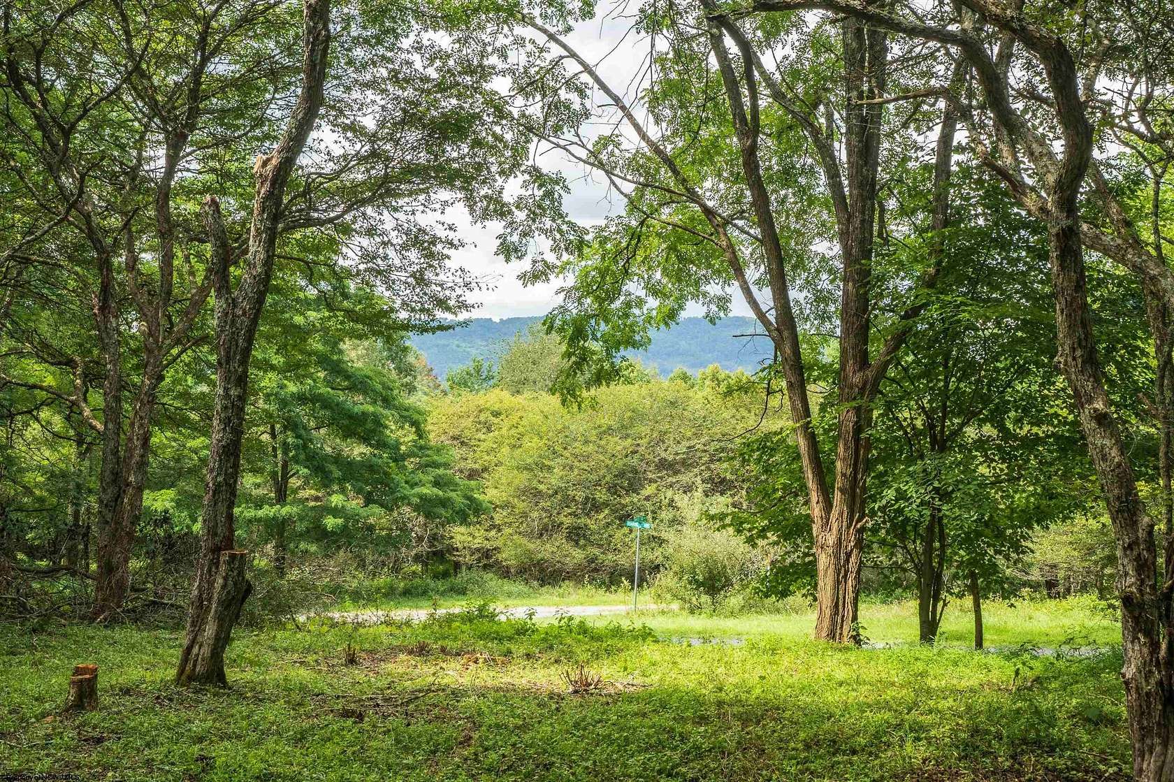 3.78 Acres of Residential Land for Sale in Dryfork, West Virginia