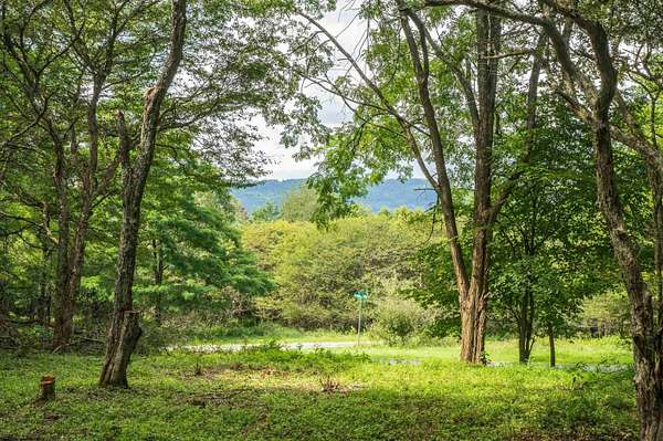 3.78 Acres of Residential Land for Sale in Dryfork, West Virginia