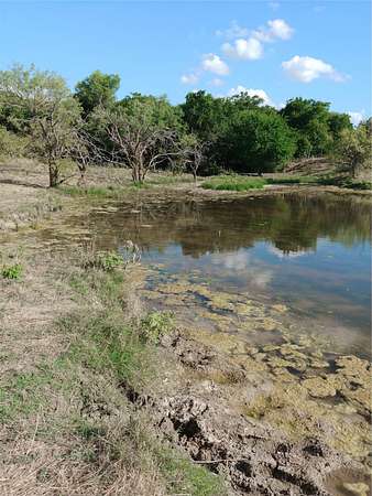 11 Acres of Land for Sale in Grandview, Texas