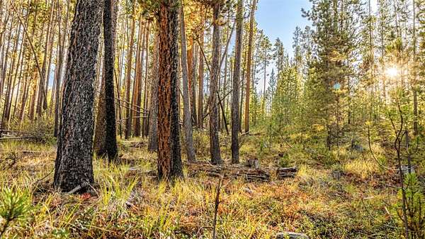 5 Acres of Residential Land for Sale in Anaconda, Montana