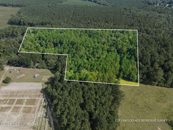 9 Acres of Residential Land for Sale in Lumberton, Mississippi