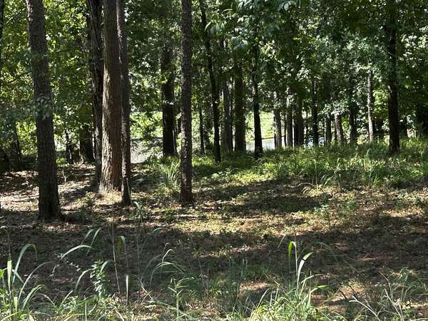 0.75 Acres of Residential Land for Sale in Greensboro, Georgia