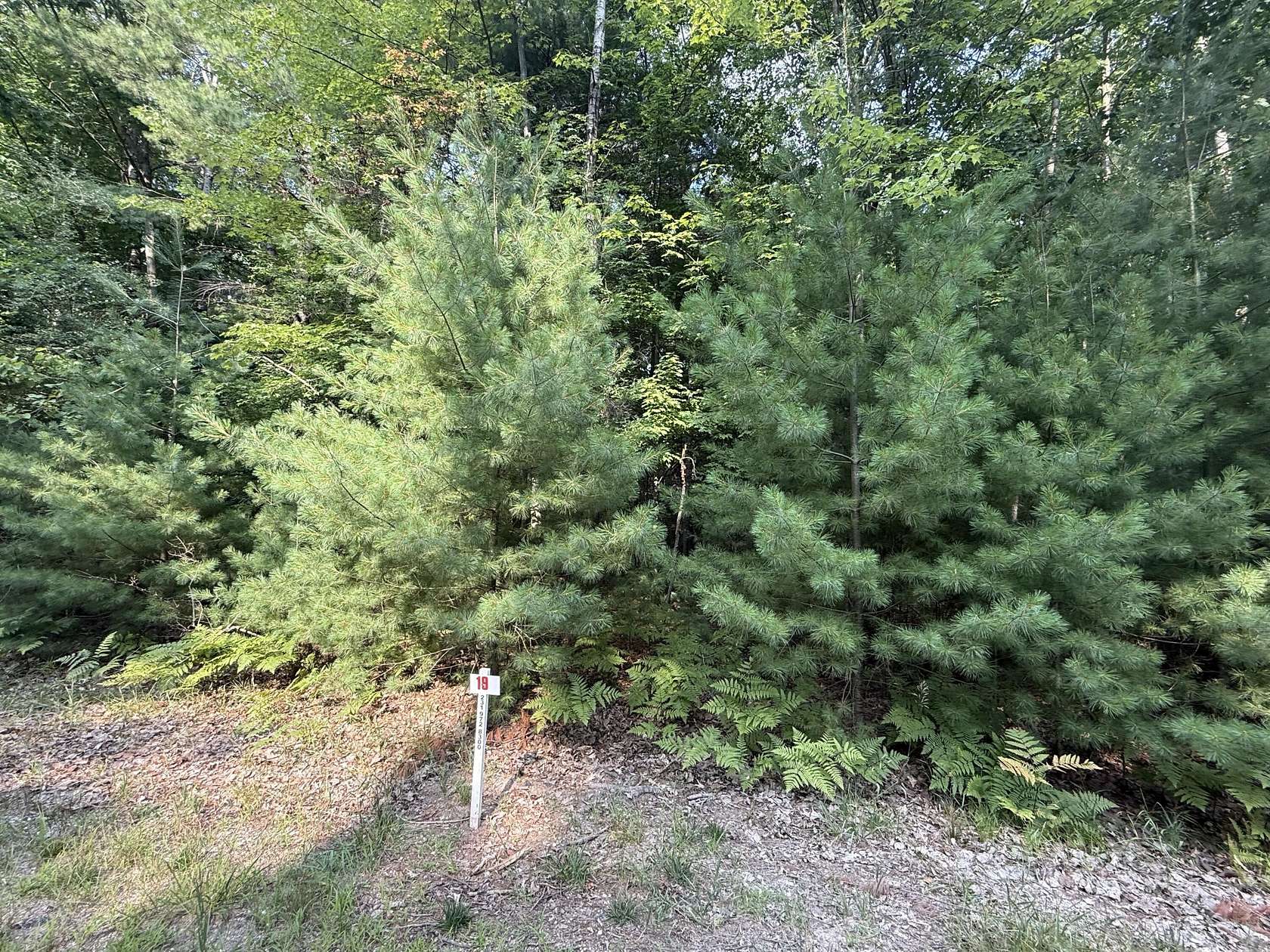 0.45 Acres of Land for Sale in Stanwood, Michigan