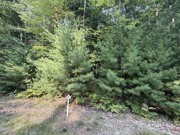 0.45 Acres of Land for Sale in Stanwood, Michigan