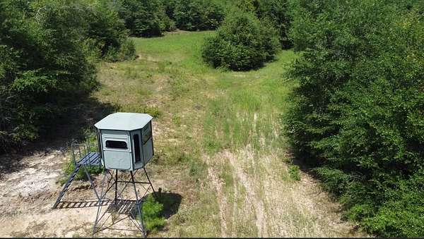 265 Acres of Recreational & Residential Land for Sale in Red Level, Alabama
