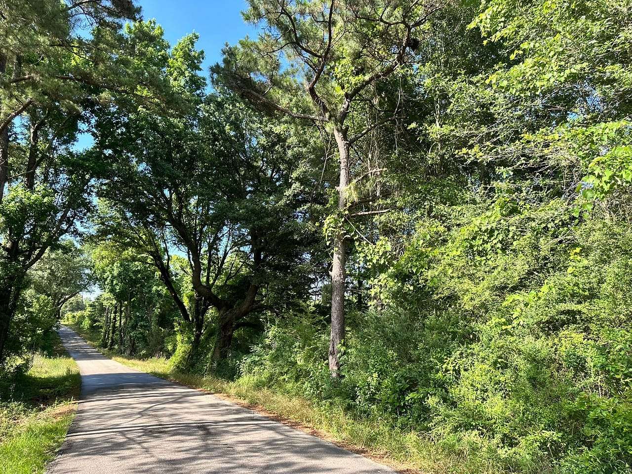 6.3 Acres of Land for Sale in Sumrall, Mississippi