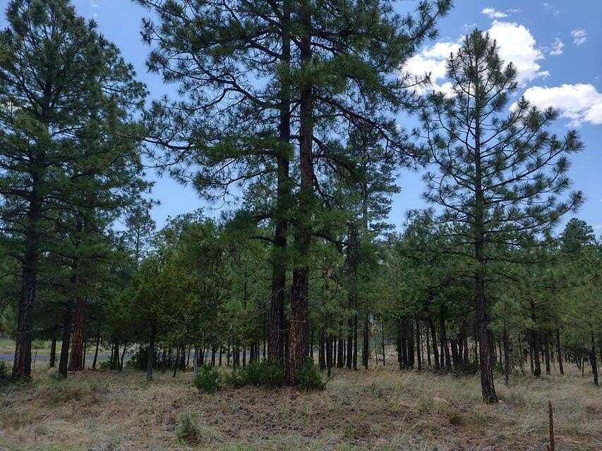 1.86 Acres of Residential Land for Sale in Happy Jack, Arizona