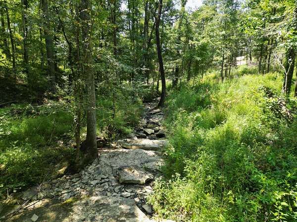 1.4 Acres of Land for Sale in Jasper, Alabama