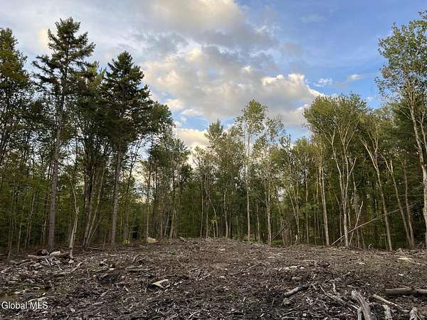 11.2 Acres of Recreational & Residential Land for Sale in Petersburgh Town, New York