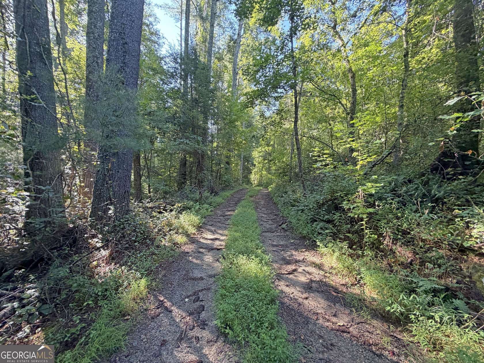 8.23 Acres of Residential Land for Sale in Clarkesville, Georgia