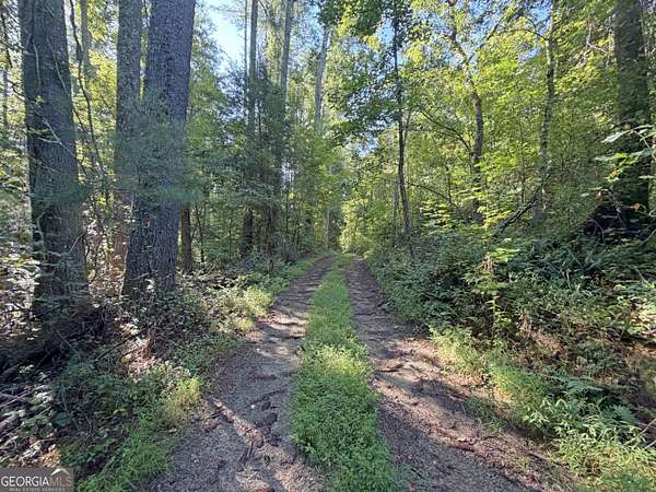 8.23 Acres of Residential Land for Sale in Clarkesville, Georgia
