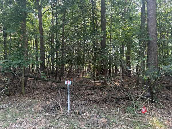 0.42 Acres of Residential Land for Sale in Stanwood, Michigan