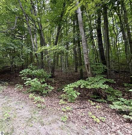 0.65 Acres of Residential Land for Sale in Bellaire, Michigan