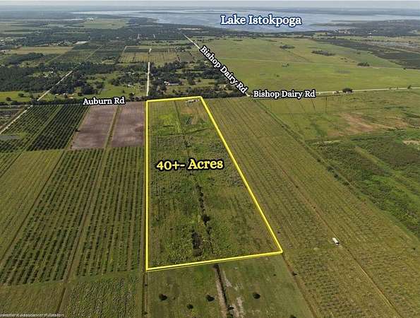 40.5 Acres of Land for Sale in Lorida, Florida