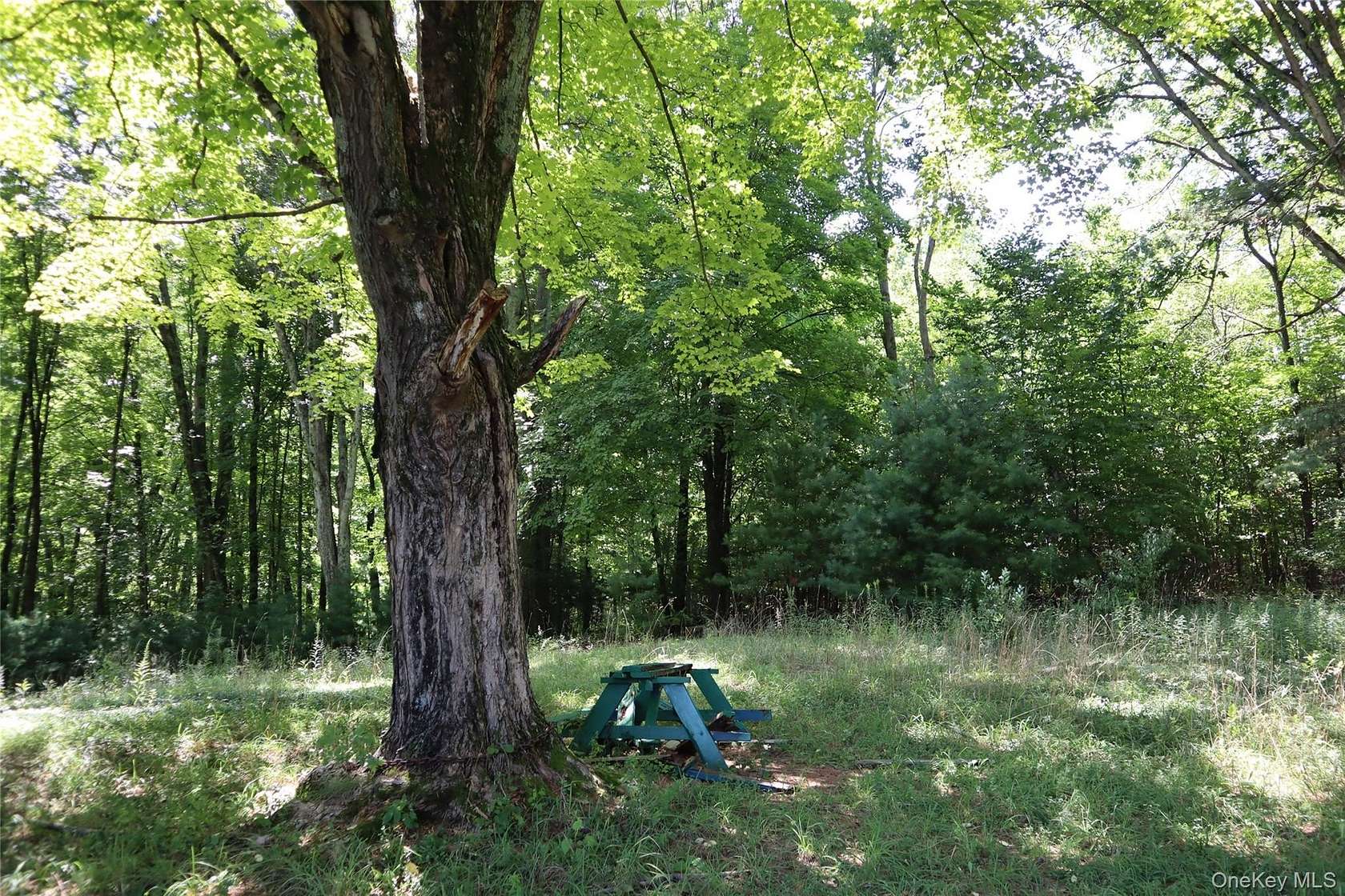 1 Acre of Residential Land for Sale in Wurtsboro, New York