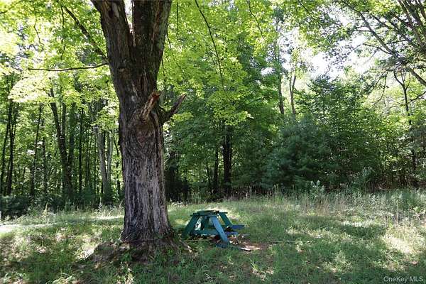 1 Acre of Residential Land for Sale in Wurtsboro, New York