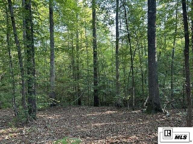46 Acres of Recreational & Residential Land for Sale in Marion, Louisiana