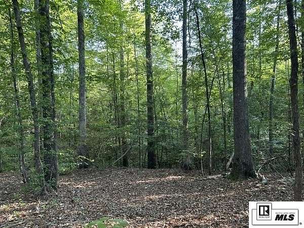46 Acres of Recreational & Residential Land for Sale in Marion, Louisiana