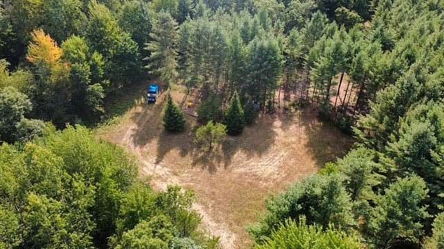 65 Acres of Land for Sale in Alma Center, Wisconsin