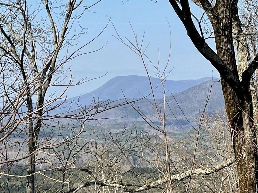 1.5 Acres of Residential Land for Sale in Ranger, Georgia