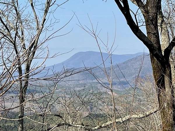 1.5 Acres of Residential Land for Sale in Ranger, Georgia