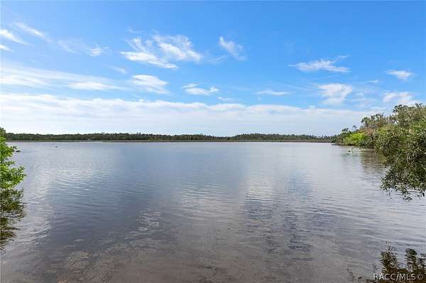 0.86 Acres of Residential Land for Sale in Homosassa, Florida