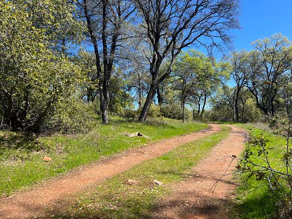 6.6 Acres of Residential Land for Sale in Oregon House, California
