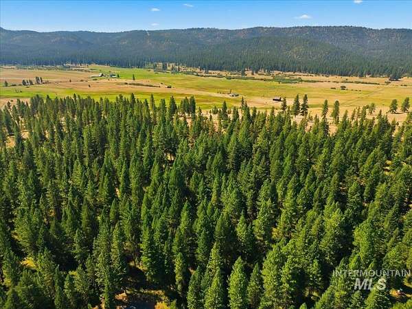 3 Acres of Residential Land for Sale in New Meadows, Idaho