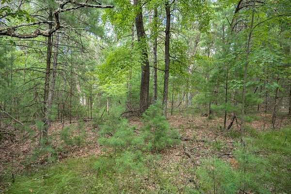 1 Acre of Residential Land for Sale in Arkdale, Wisconsin