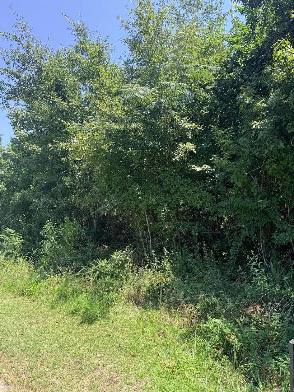 1 Acre of Land for Sale in McClellanville, South Carolina