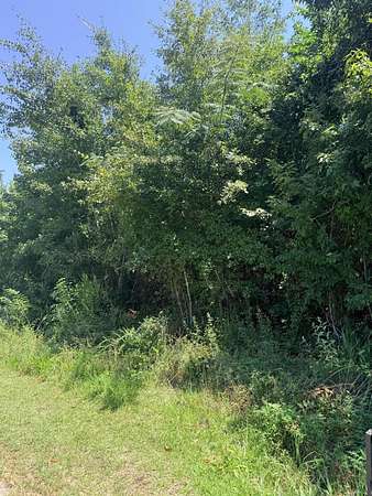 1 Acre of Land for Sale in McClellanville, South Carolina