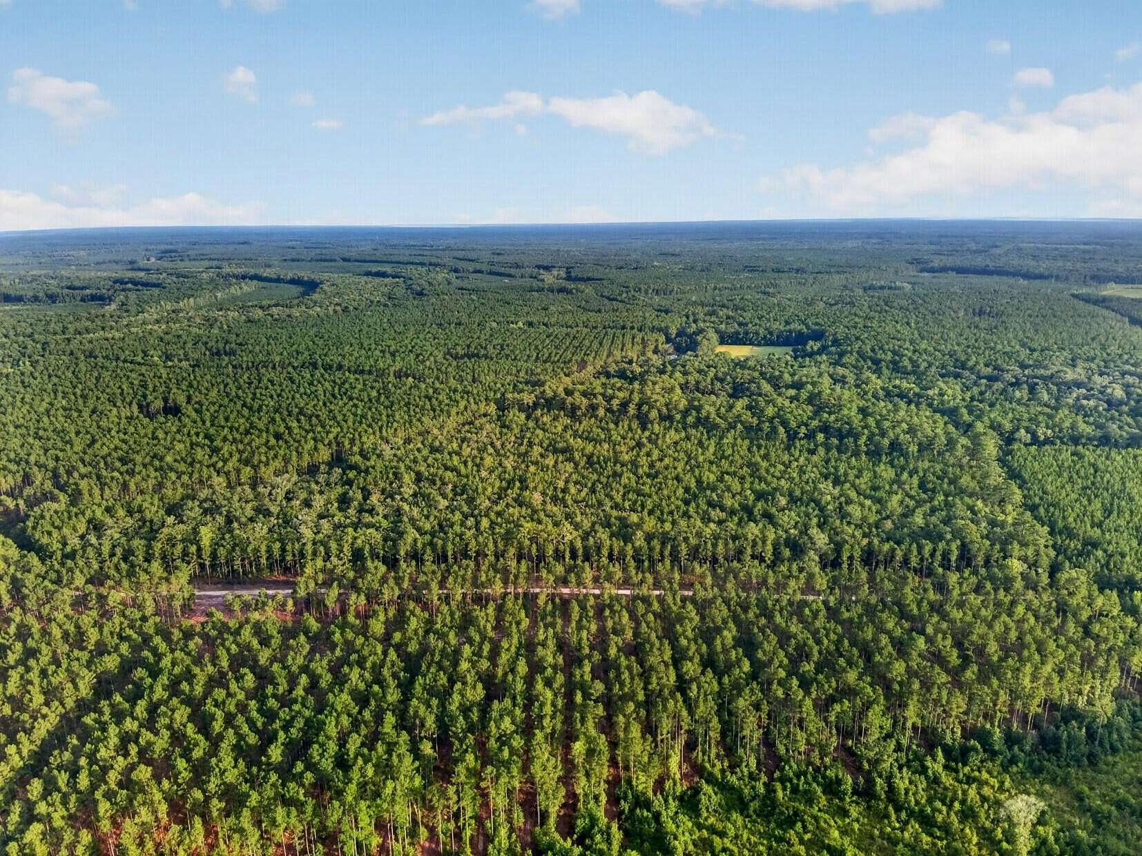 10 Acres of Recreational & Residential Land for Sale in Adams Run, South Carolina