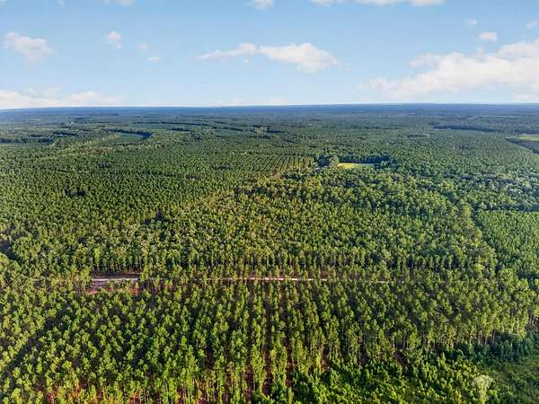 10 Acres of Recreational & Residential Land for Sale in Adams Run, South Carolina