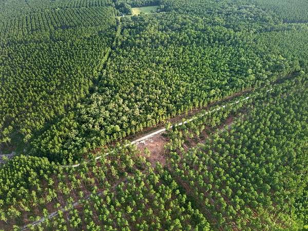 10 Acres of Recreational Land for Sale in Adams Run, South Carolina