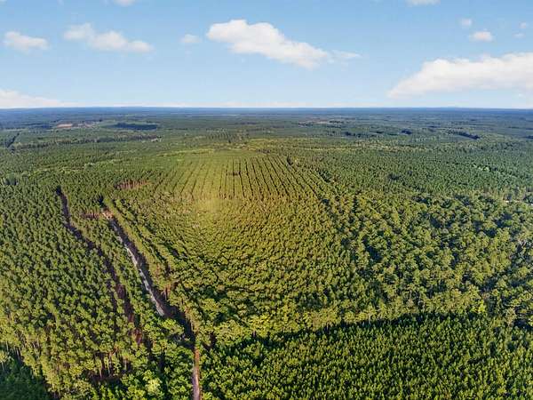 10 Acres of Land for Sale in Adams Run, South Carolina