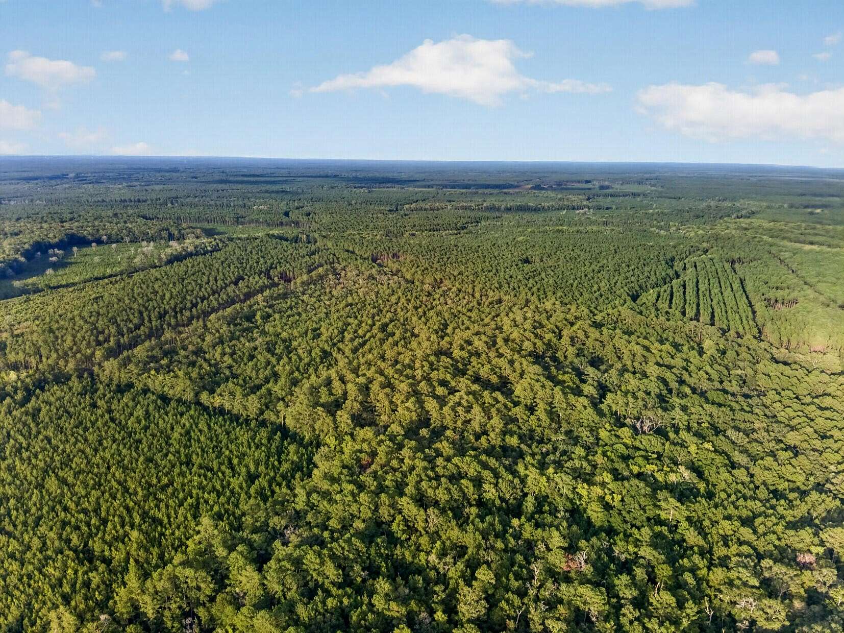 30 Acres of Land for Sale in Adams Run, South Carolina