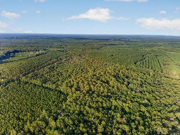 30 Acres of Land for Sale in Adams Run, South Carolina