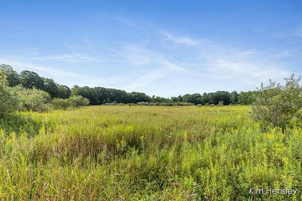 19.8 Acres of Land for Sale in Twin Lake, Michigan