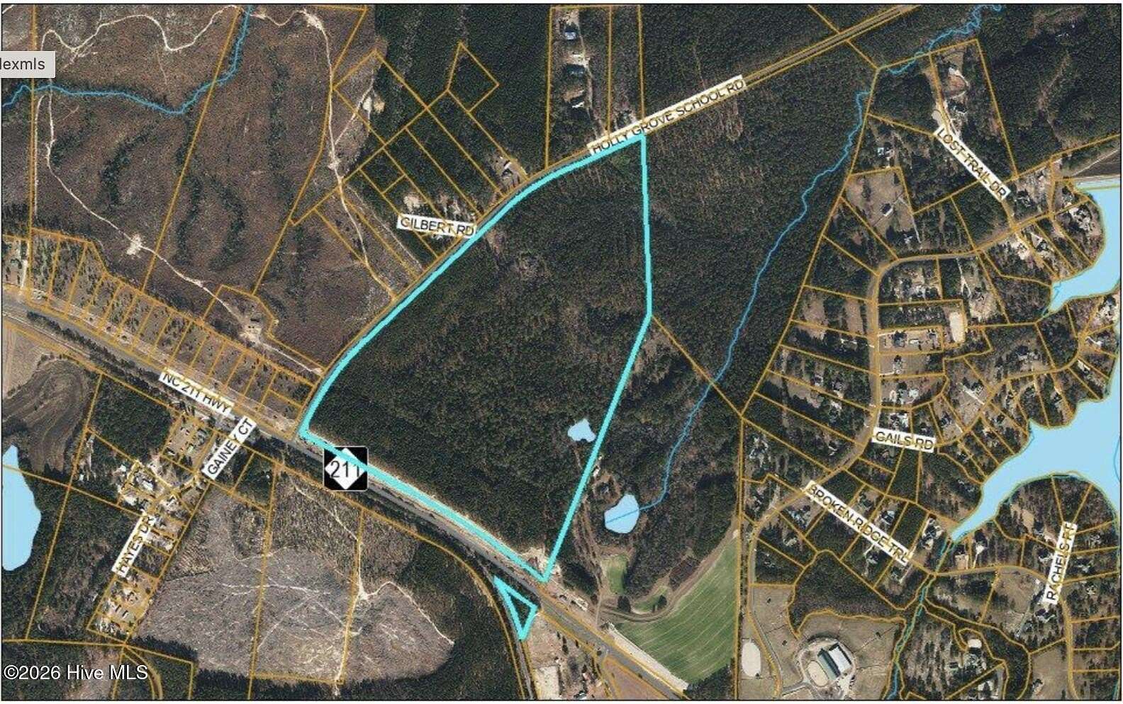 96 Acres of Land for Sale in Seven Lakes, North Carolina