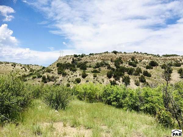 40 Acres of Recreational Land for Sale in Rye, Colorado