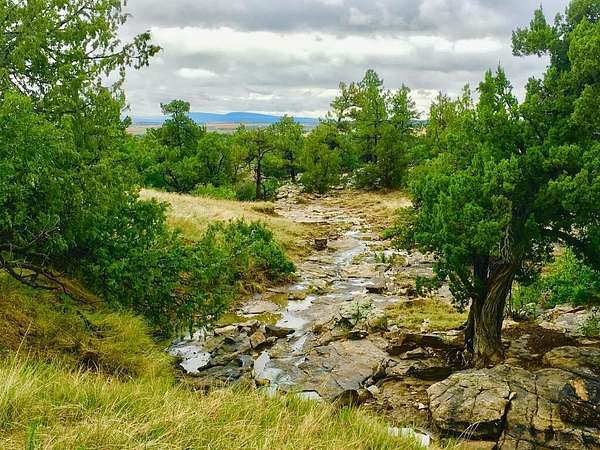 40 Acres of Recreational Land for Sale in Rye, Colorado