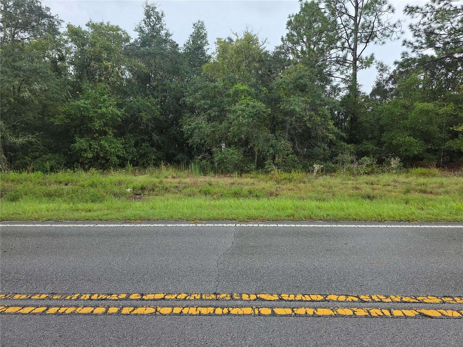 0.24 Acres of Residential Land for Sale in Dunnellon, Florida