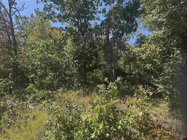0.42 Acres of Residential Land for Sale in Bull Shoals, Arkansas