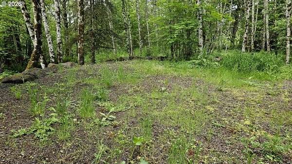6 Acres of Land for Sale in Kelso, Washington