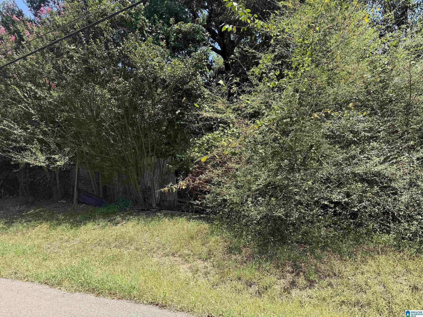 0.98 Acres of Residential Land for Sale in Birmingham, Alabama