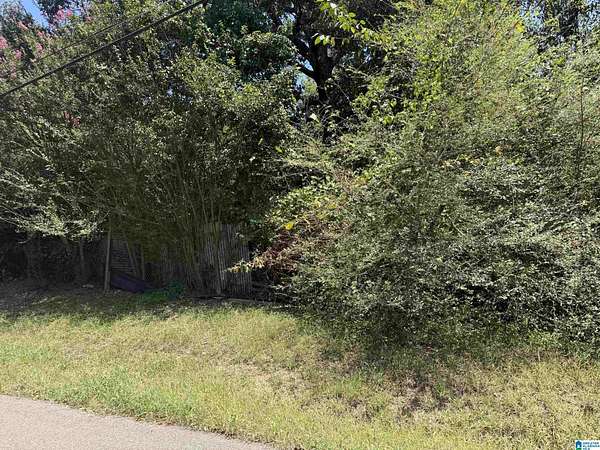 0.98 Acres of Residential Land for Sale in Birmingham, Alabama